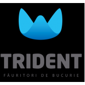 Trident Trident
