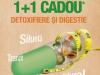detoxifiere_digestie.jpg