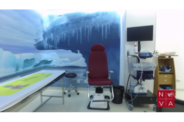 Clinica Nova Explorari ORL- Clinica Vertijului Bucuresti si Cluj - vlcsnap-2020-06-02-16h10m38s529.png