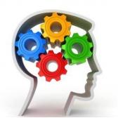 Cabinet psihologie Baia Mare Palfi Madalina