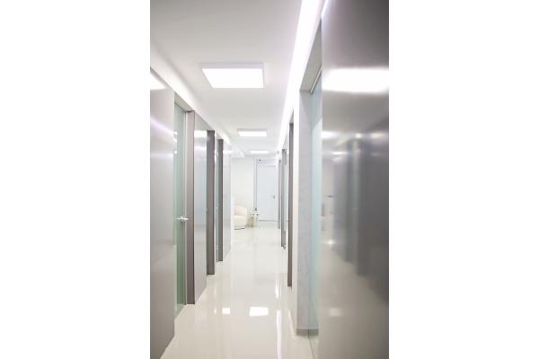 PetraSmiles - petra-smiles_012.jpg