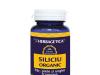 SILICIU ORGANIC