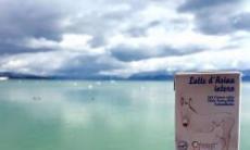  Laptele de magarita - laptele cel mai apropiat de laptele matern este tratamentul 100% natural pentru o multitudine de afectiuni