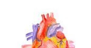 Anatomia inimii - Conductia si ciclul cardiac