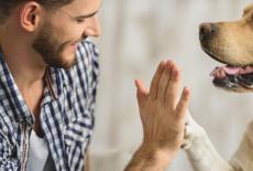 Beneficiile pentru sanatate ale animalelor de companie