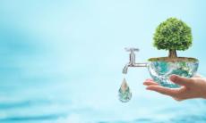 Boli care pot fi contactate din apa contaminata