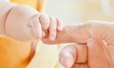 Ce sunt celulele stem si de ce este important rolul lor