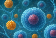 Recoltarea de celule stem in sarcini gemelare sau multiple – provocari si diferente fata de sarcina unica