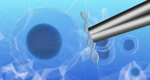 Celulele stem: o investitie pentru sanatatea viitorului copilului tau