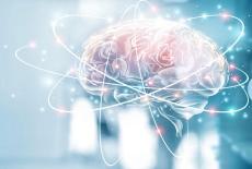 Cerebelul: anatomie, functii, tulburari, profilaxie
