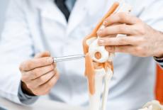 Colagenul si sanatatea articulatiilor: ce spun studiile medicale