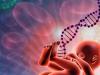 Factorul genetic: cum ne influenteaza viata?