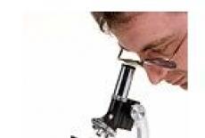 Fertilizarea in-vitro (FIV) – Informatii generale