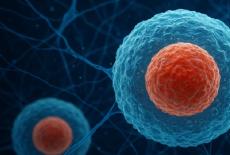 Greutatea la nastere si volumul de sange recoltat – ce spun studiile?