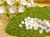 Avantajele tratamentului homeopat