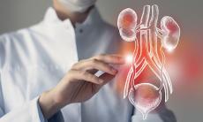 Infectiile urinare la copii - inalte si joase