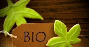 Informatii utile despre alimentele bio, suplimente nutritive si produse bio fara gluten