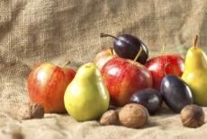11 fructe si legume de toamna care iti intaresc imunitatea 
