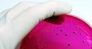 Intoxicatia alimentara cu Salmonella