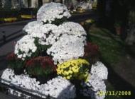 Aranjament floral